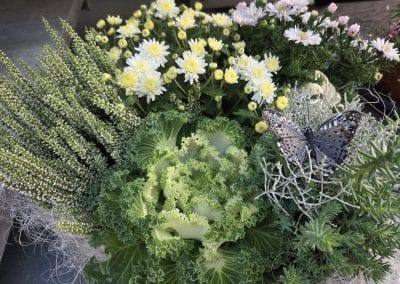 Regionale Blumen aus der Gärtnerei in Pucking