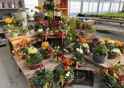 Nachhaltige Pflanzenproduktion in Pucking