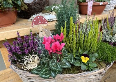 Pflanzen & Blumen aus Ihrer Gärtnerei – natürlich, regional & herzlich. Holen Sie sich die Natur nach Hause!