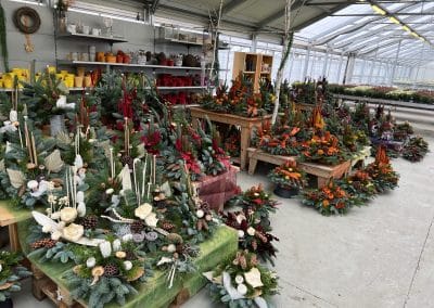 Pflanzen & Blumen aus Ihrer Gärtnerei – natürlich, regional & herzlich. Holen Sie sich die Natur nach Hause!