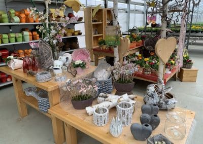 Bunte Pflanzen aus nachhaltigem Anbau